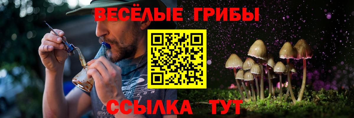 Жуковский  Псилоцибиновые грибы ЛСД  Вход с VPN  Псилоцибиновые грибы Magic Shrooms 